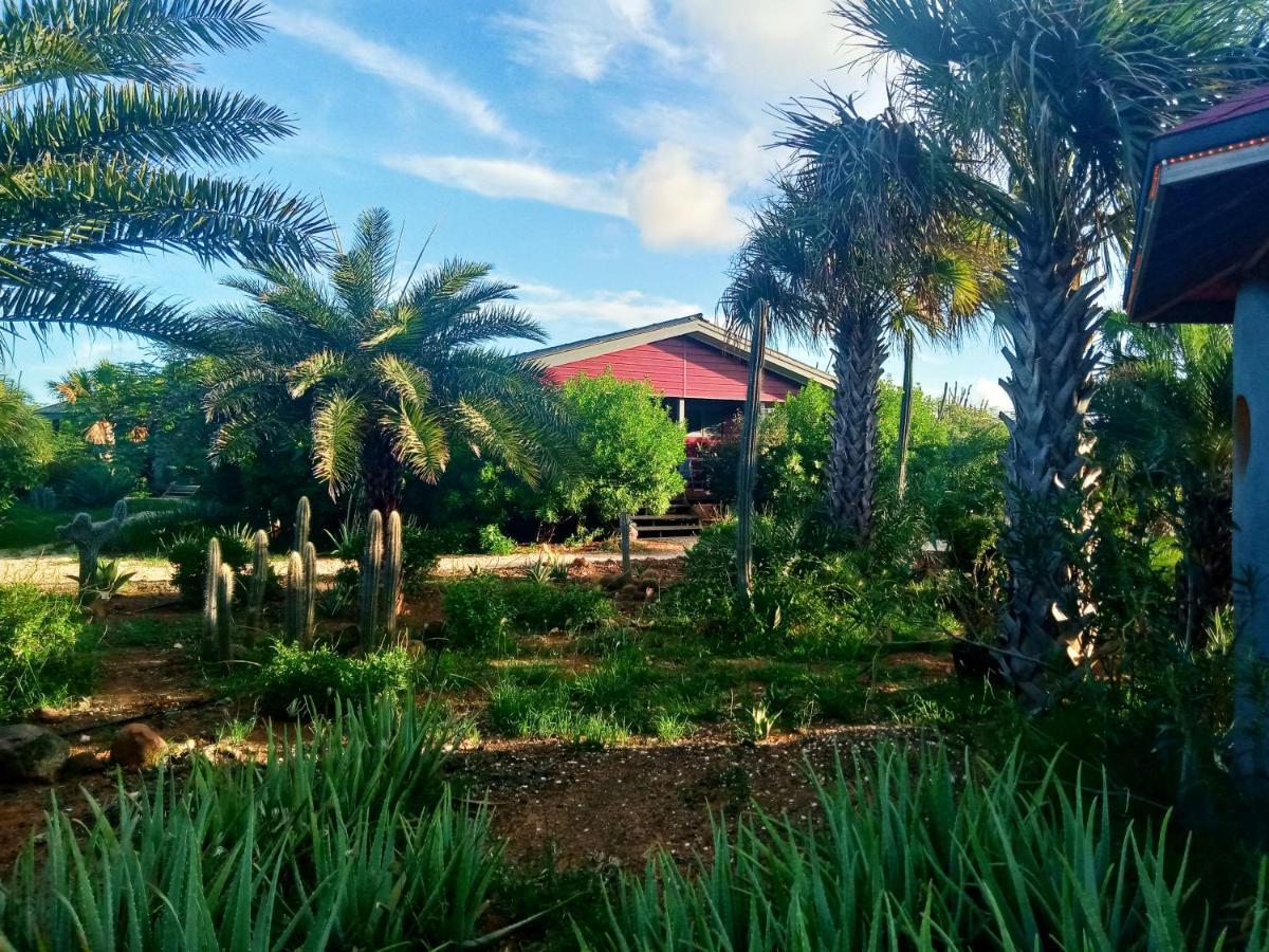 Red Palm Village Playa Exterior foto